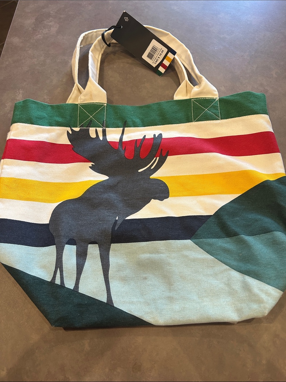 Hudson’s Bay Moose Stripe Canvas Tote Bag Green Red Yellow
